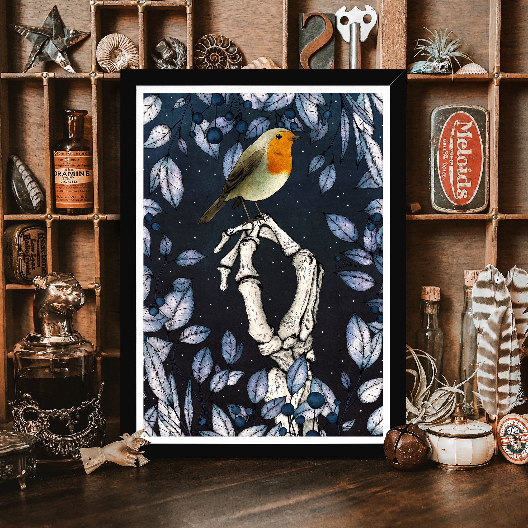 Robin Framed Giclee order Print