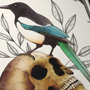 The Magpie - Giclée Art Print