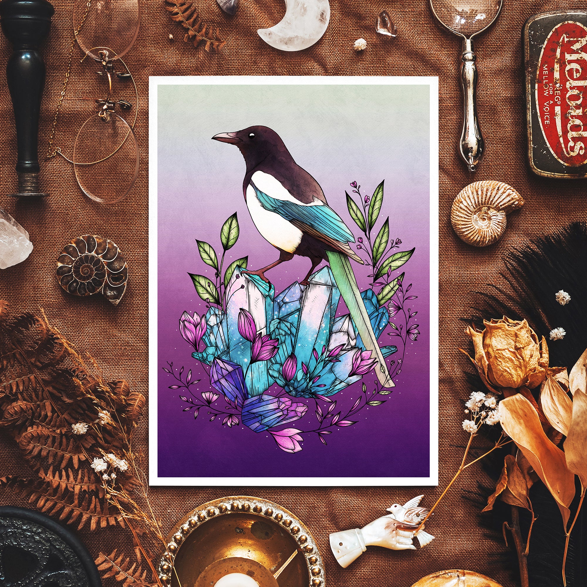 Crystal Magpie - Giclée Art Print