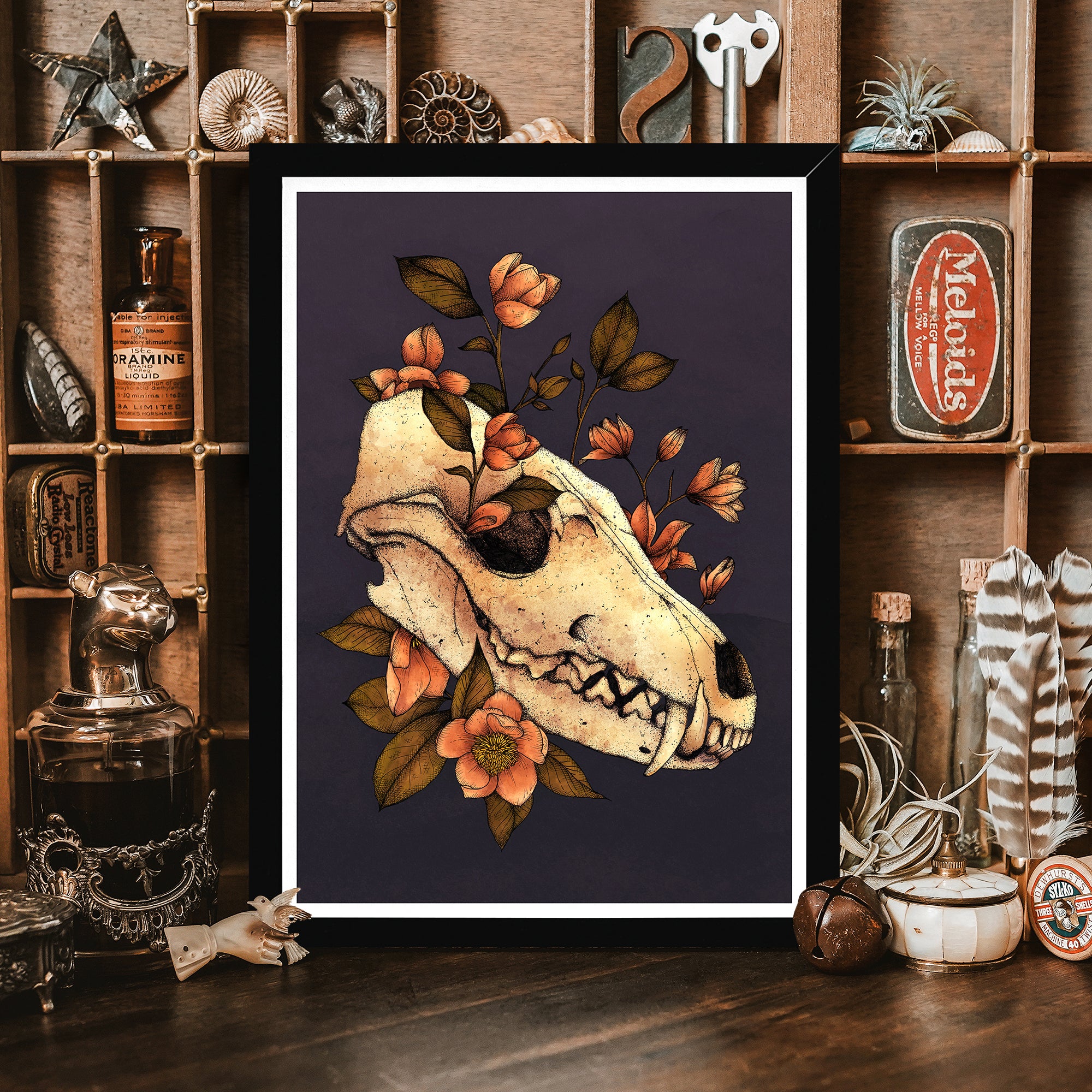 Fox Skull - Framed Giclée Art Print