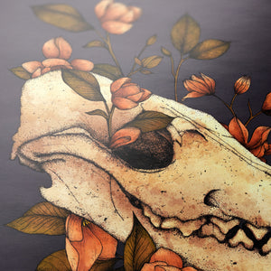 Fox Skull - Giclée Art Print