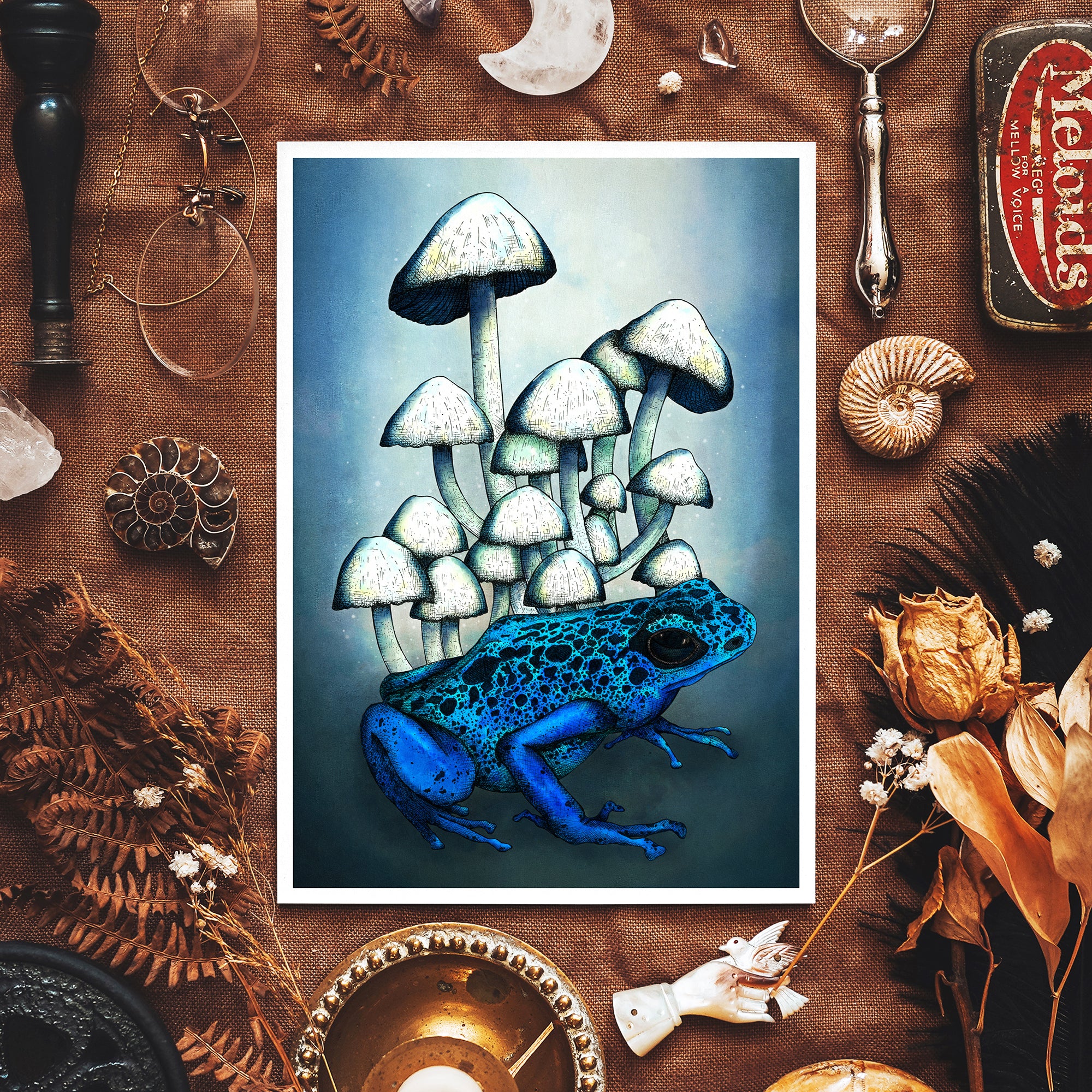 Frog and Mushrooms - Giclée Art Print