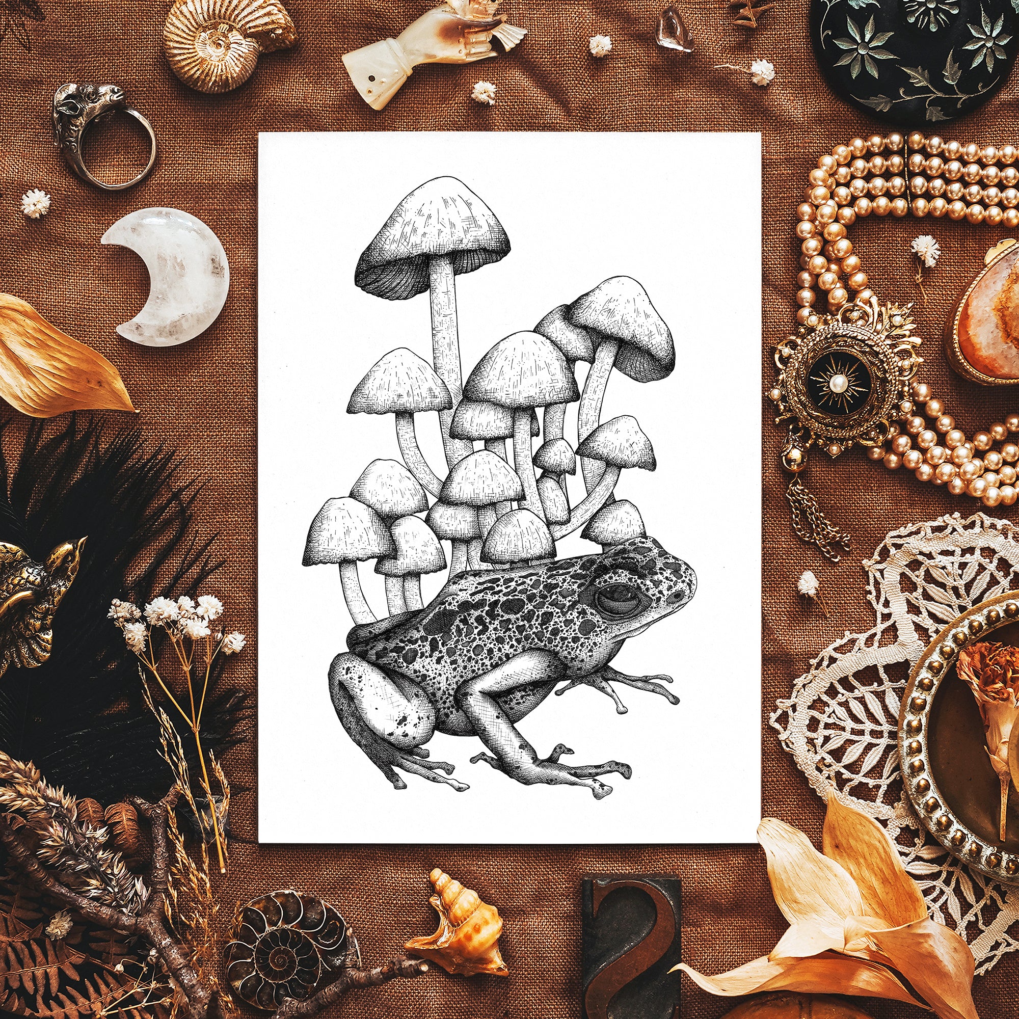 Frog and Mushrooms - Giclée Art Print