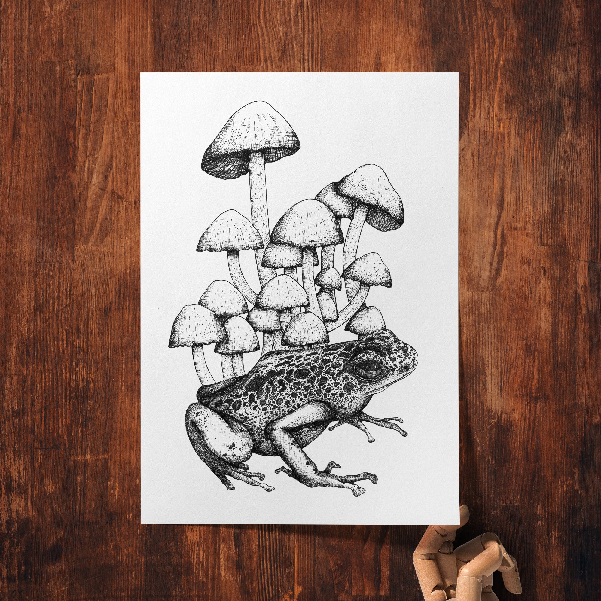 Frog and Mushrooms - Giclée Art Print