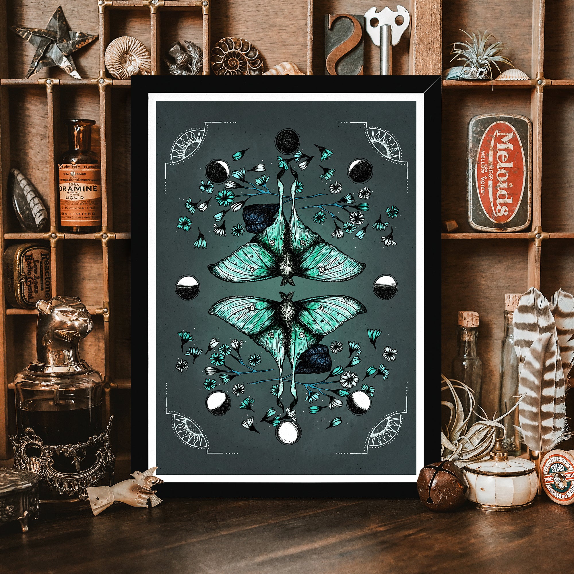 Luna Moth - Framed Giclée Art Print