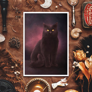 Shadow Cat - Giclée Art Print