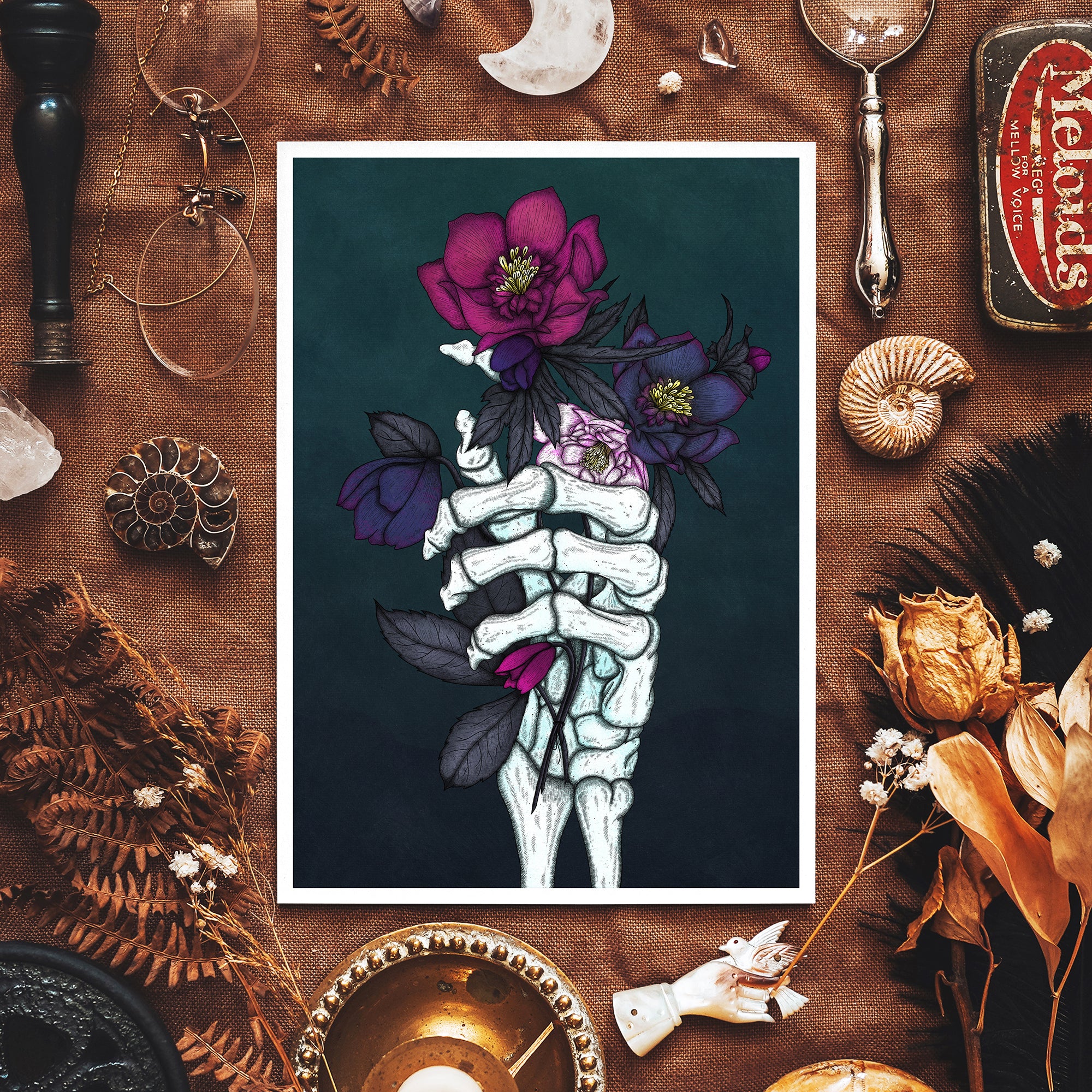 Skeleton and Hellebores - Giclée Art Print