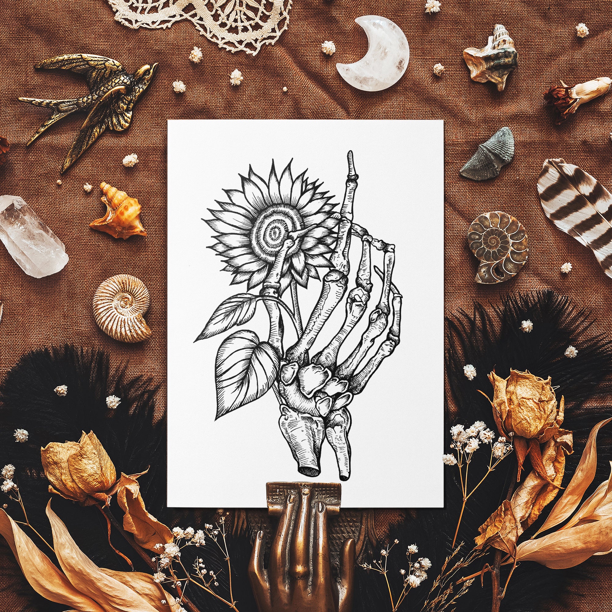 Skeleton and Sunflower - Mohawk Fine Art Postcard