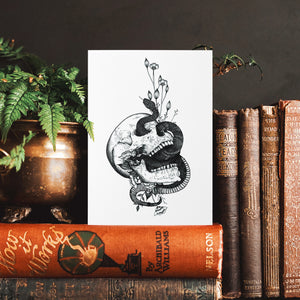 Snake and Skull - Greeting Card