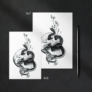 Snake and Skull - Greeting Card