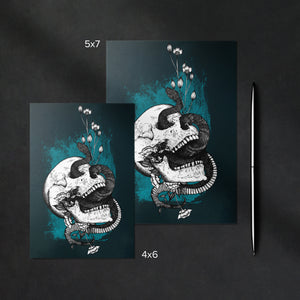 Snake and Skull - Greeting Card