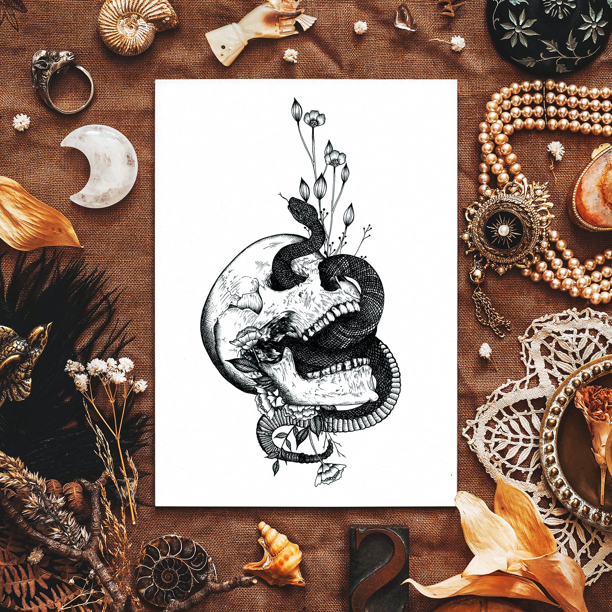 Snake and Skull - Giclée Art Print