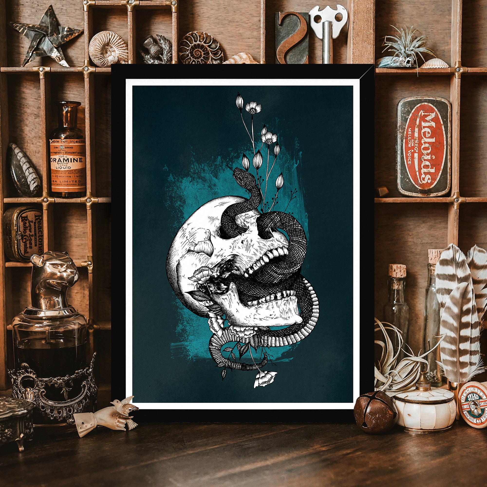 Snake and Skull - Framed Giclée Art Print