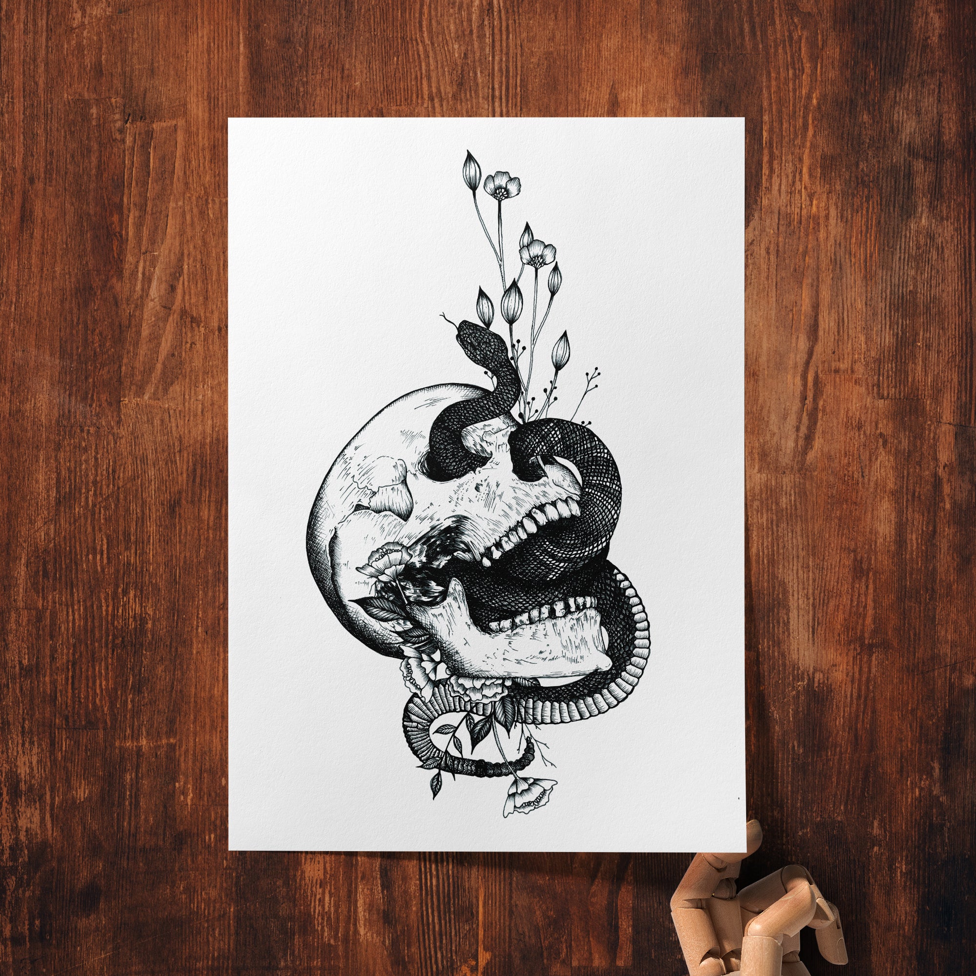 Snake and Skull - Giclée Art Print