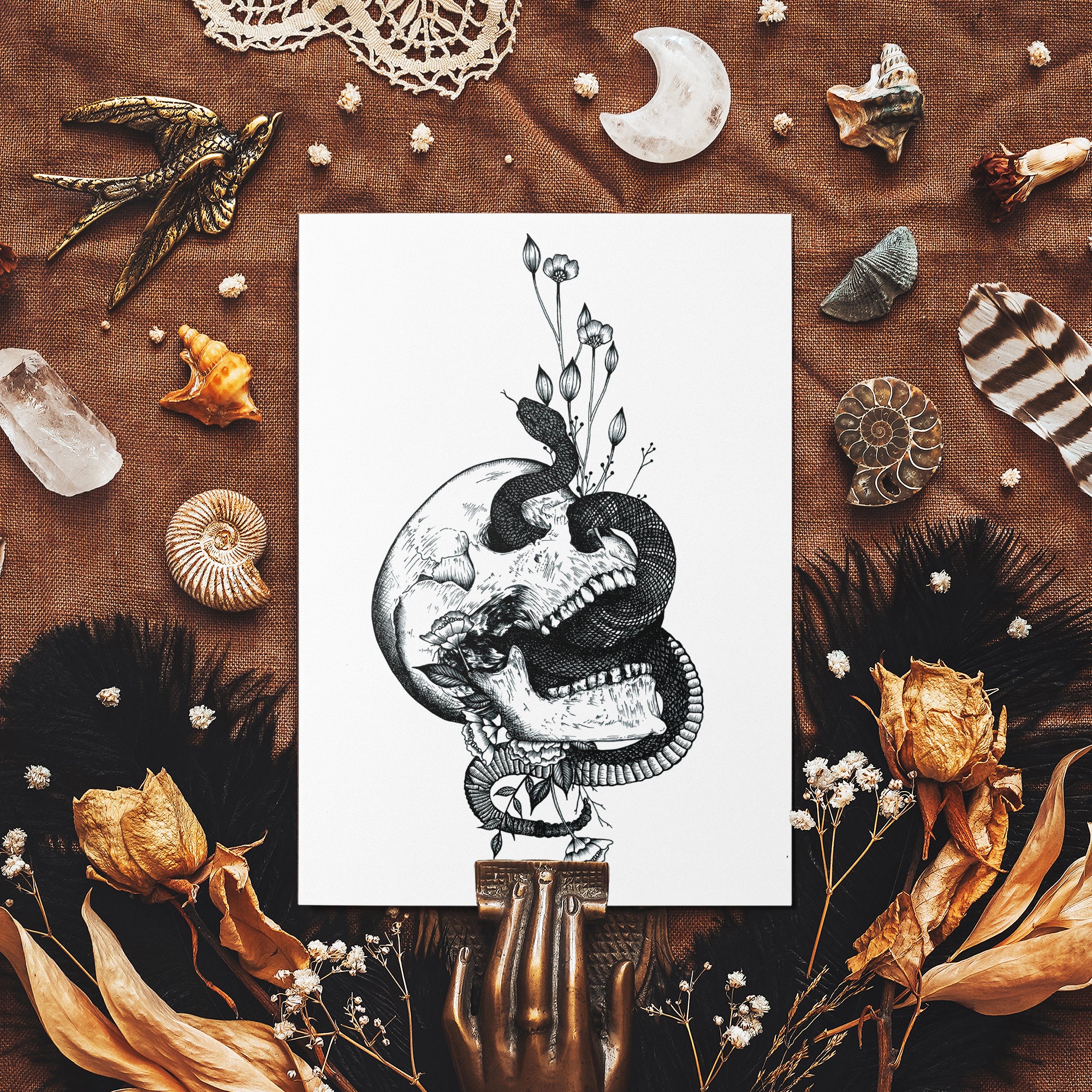 Snake and Skull - Mohawk Fine Art Postcard