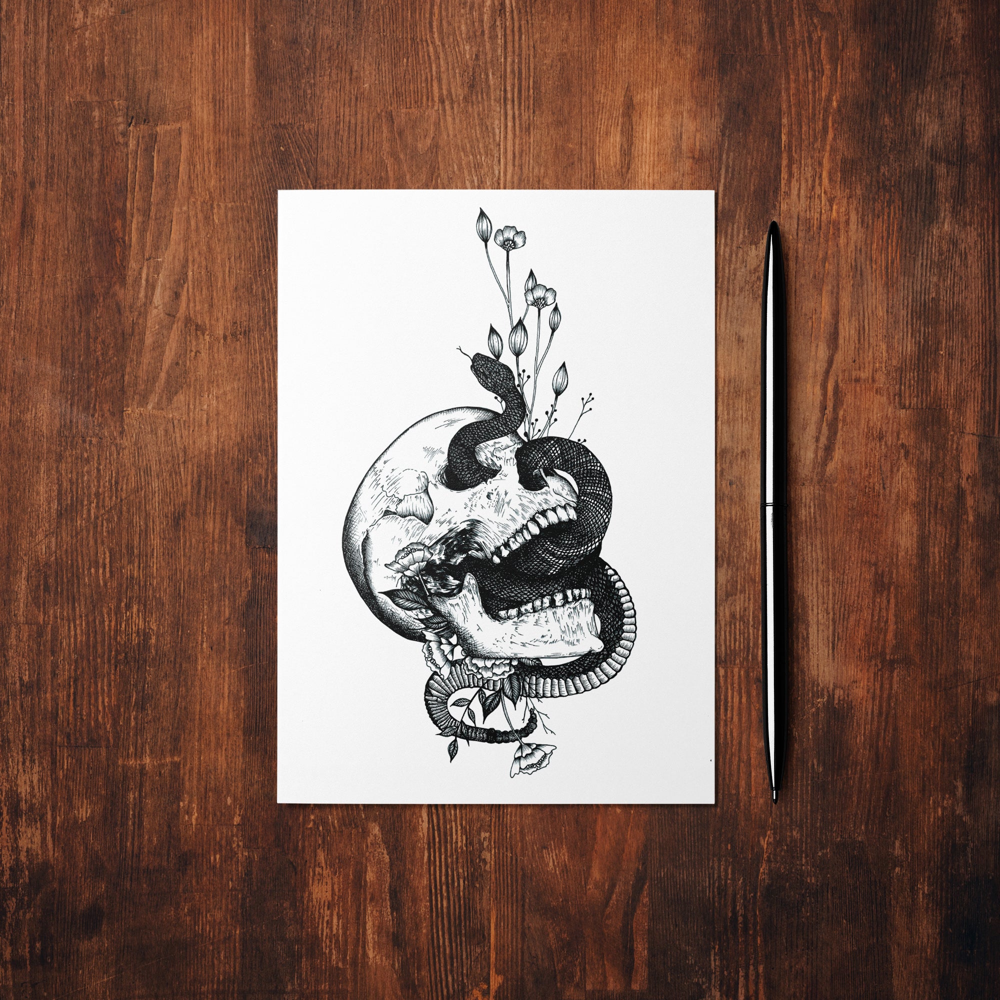 Snake and Skull - Mohawk Fine Art Postcard