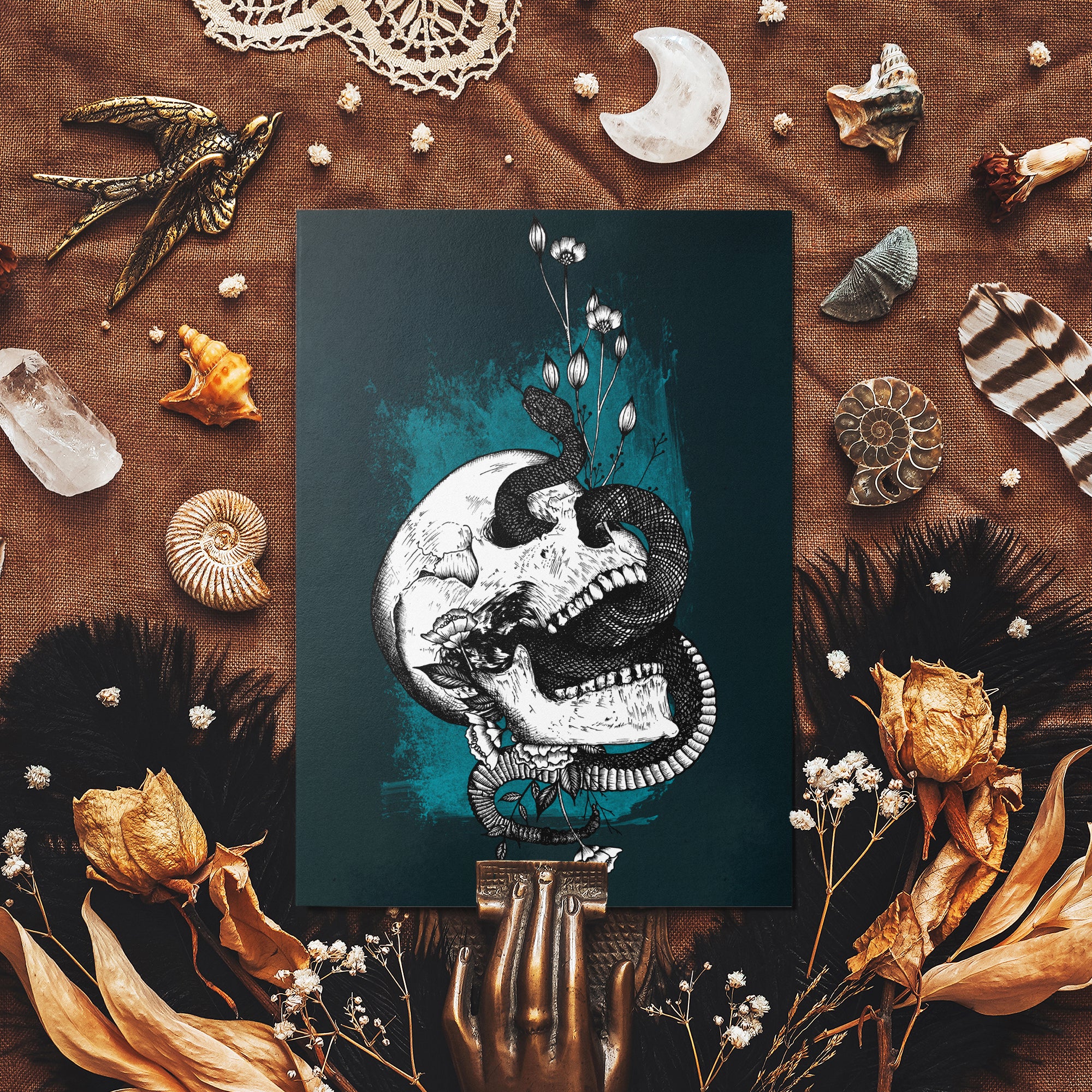 Snake and Skull - Glossy Fine Art Postcard