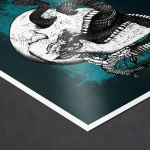 Snake and Skull - Giclée Art Print