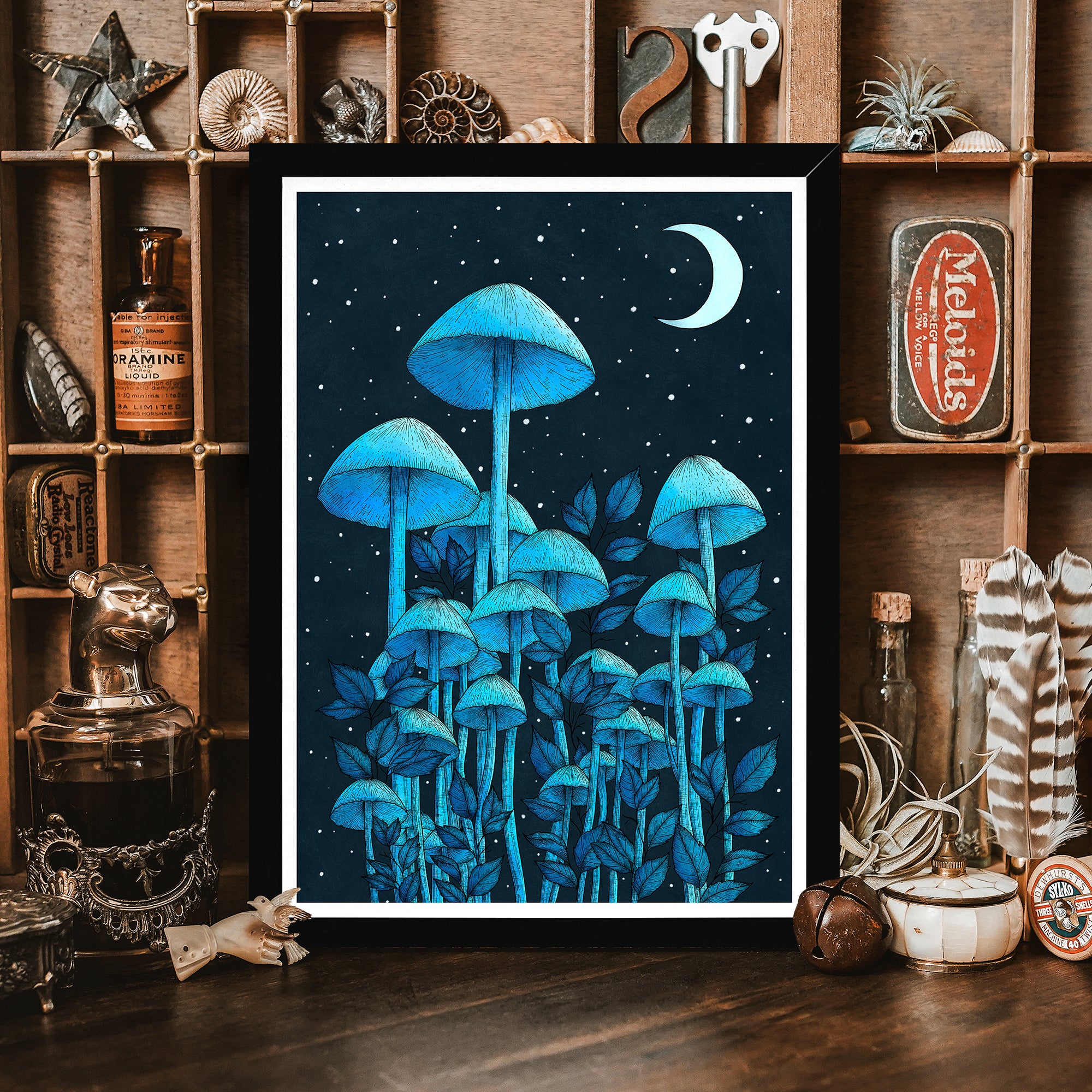 Starlight Mushrooms - Framed Giclée Art Print