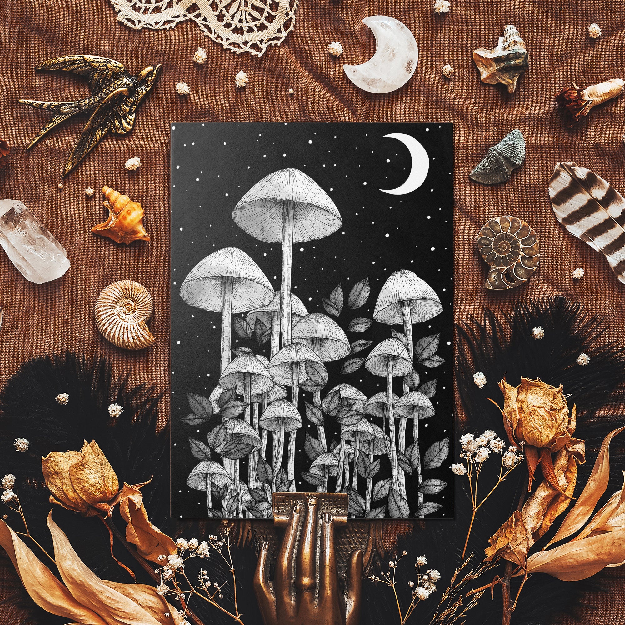 Starlight Mushrooms - Mohawk Fine Art Postcard