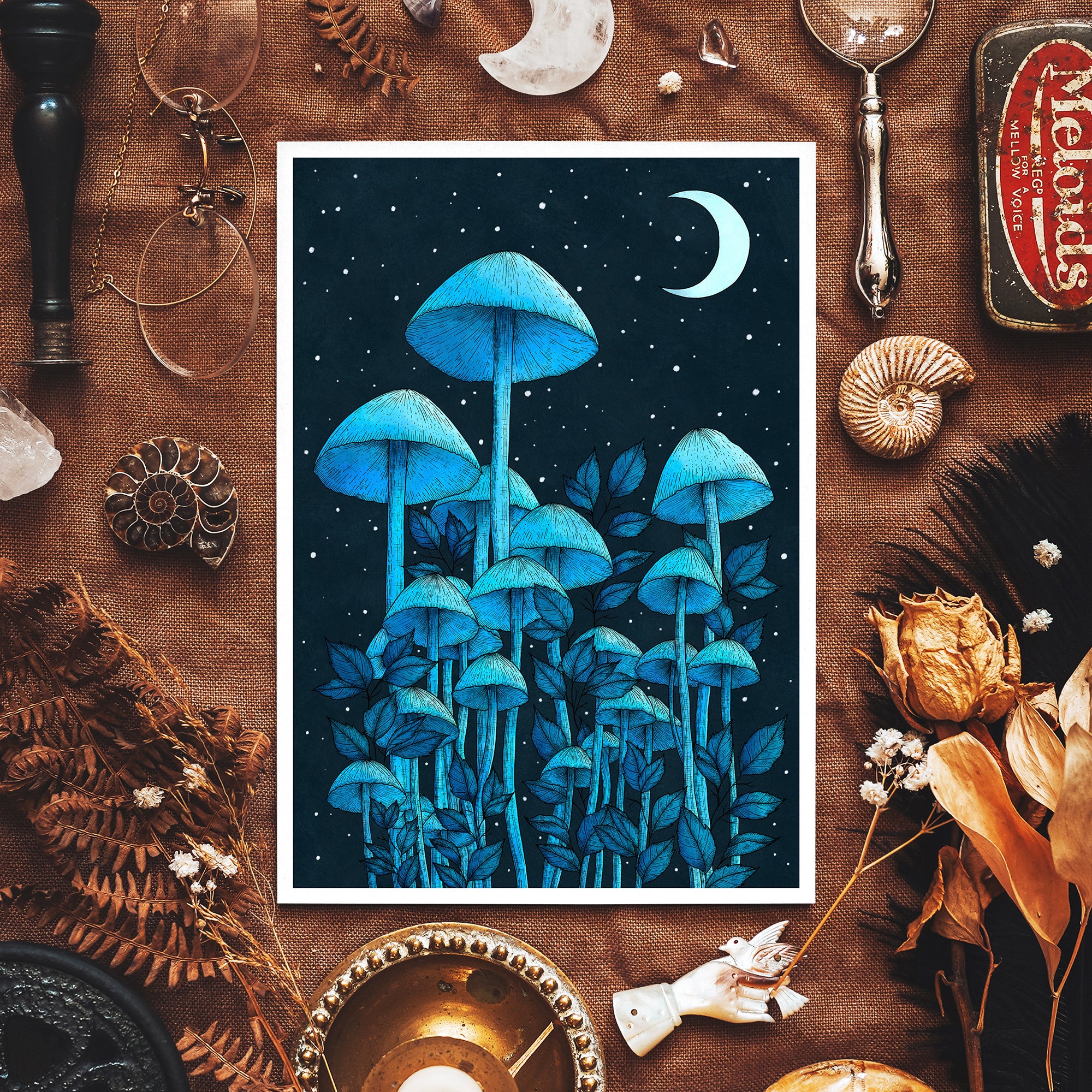 Starlight Mushrooms - Giclée Art Print